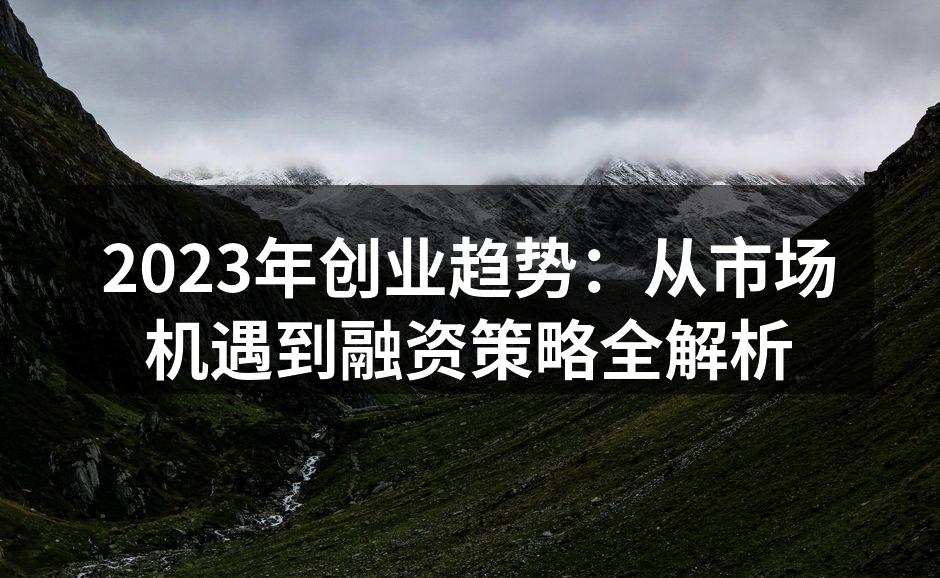 2023年创业趋势：从市场机遇到融资策略全解析